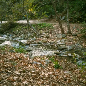 Mission Creek above the Mission Dam, fall leaves