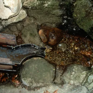redwood flume, Mission Dam