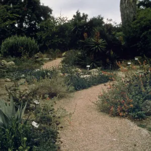 Desert Section Wash