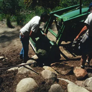 Constructing Dudleya Display