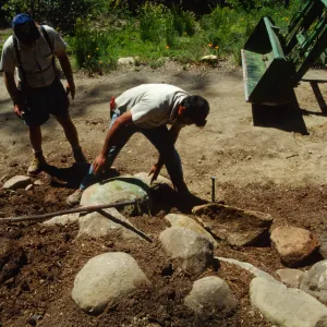 Constructing Dudleya Display