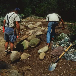 Constructing Dudleya Display