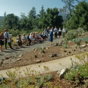 Dudleya Display Dedication