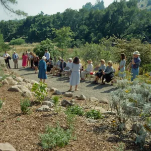 Dudleya Display Dedication
