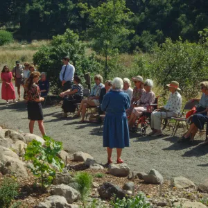 Dudleya Display Dedication