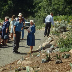 Dudleya Display Dedication