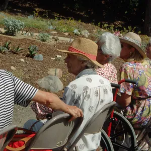 Dudleya Display Dedication