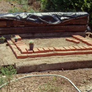 Dudleya Test Plot, August 1998