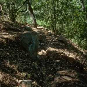 Easton Trail