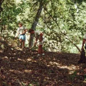 Preparing Ethnobotanical Display area