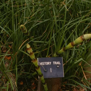 History Trail Marker