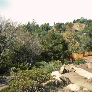 SBBG Home Demonstration Garden construction