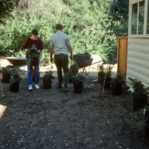 SBBG Home Demonstration Garden construction