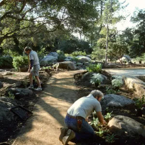SBBG Home Demonstration Garden construction