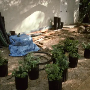 SBBG Home Demonstration Garden construction