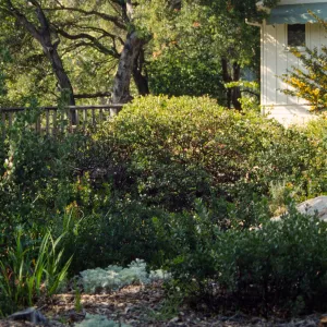 Home Demonstration Garden Construction (Manzanita)