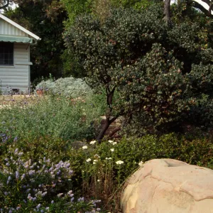 Home Demonstration Garden Construction (Manzanita)