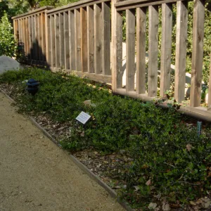 Home Demonstration Garden Construction