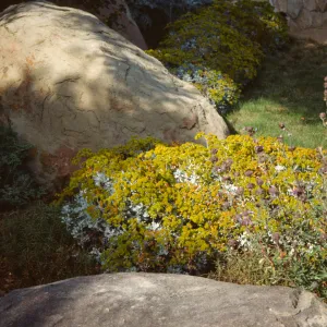 Home Demonstration Garden 