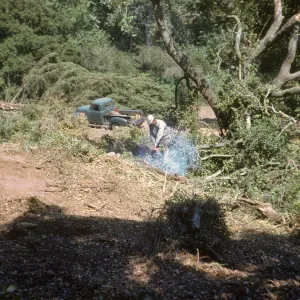 Clearing new Island Section