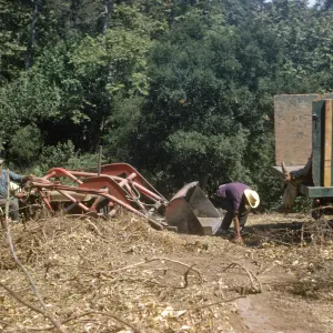Clearing the new Island Section