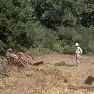Clearing the new Island Section