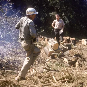 Clearing the new Island Section