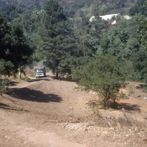 Clearing the new Island Section