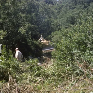 New Island Section