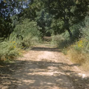 Road before clearing the new Island Section