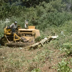 Clearing the new Island Section