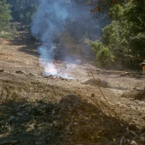Island Section, final cleanup