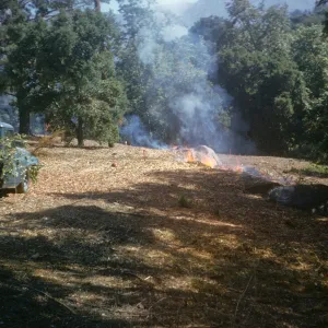 Island section, final cleanup