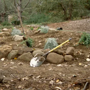 Island Rare Plant Display planting