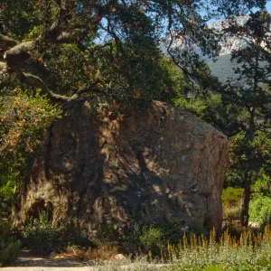 Blaksley Boulder
