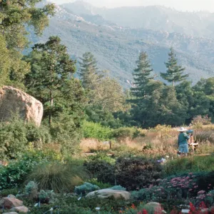 Meadow, with artist painting