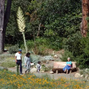 Meadow with bench & visitors