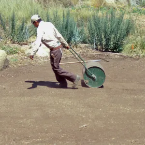 Preparing for the new Meadow Lawn installation