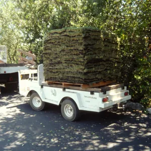 sod for the new Meadow lawn Installation