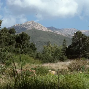 Meadow, with mountain view