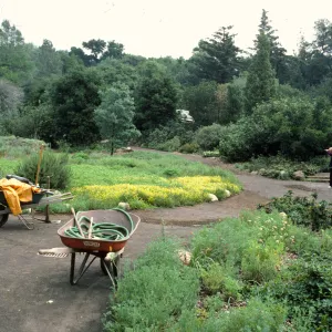 gardener in the Meadow