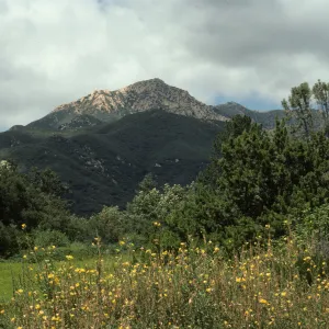 Meadow, La Cumbre Peak 