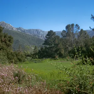 SBBG Meadow with mounatin view