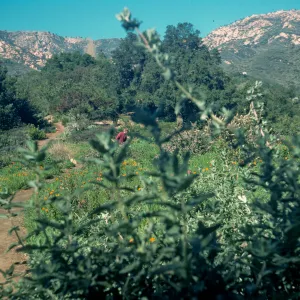 Porter Trail looking north