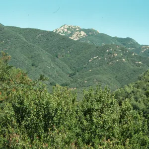 View North from Porter Trail