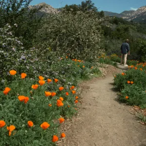 Porter Trail