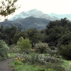 Snow on the Mountains from Porter Trail