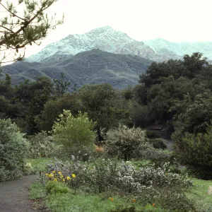Snow on Mountains from Porter Trail