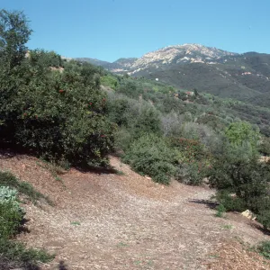 Porter Trail Looking Toward the Mountains