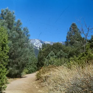 Porter Trail